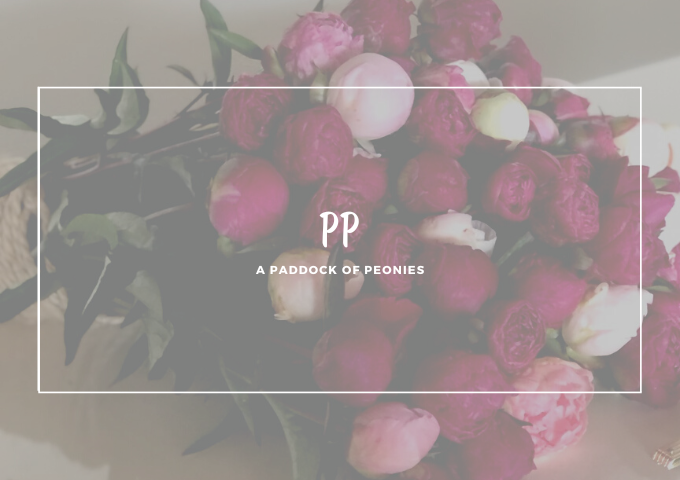 The Nicest Peony Stickers! Stickerdot Review….